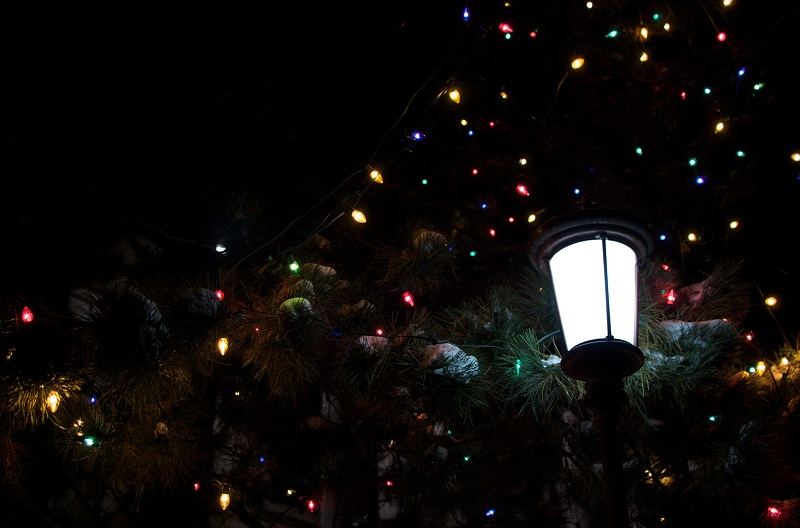 Illustration for article titled Photo Contest: Christmas Lights